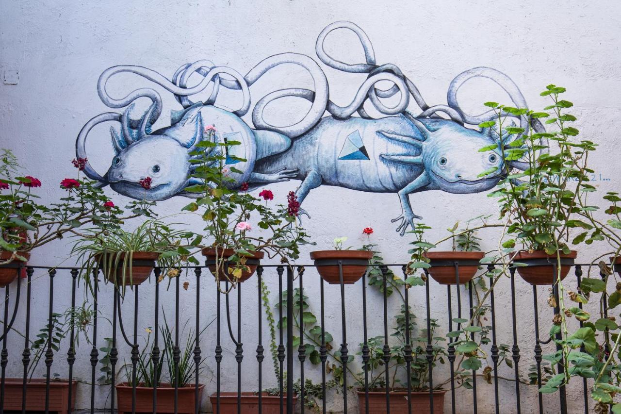 Gente De Mas Hostel Heroica Puebla de Zaragoza Exterior foto